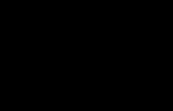 swissAA_Logo_black (1).png